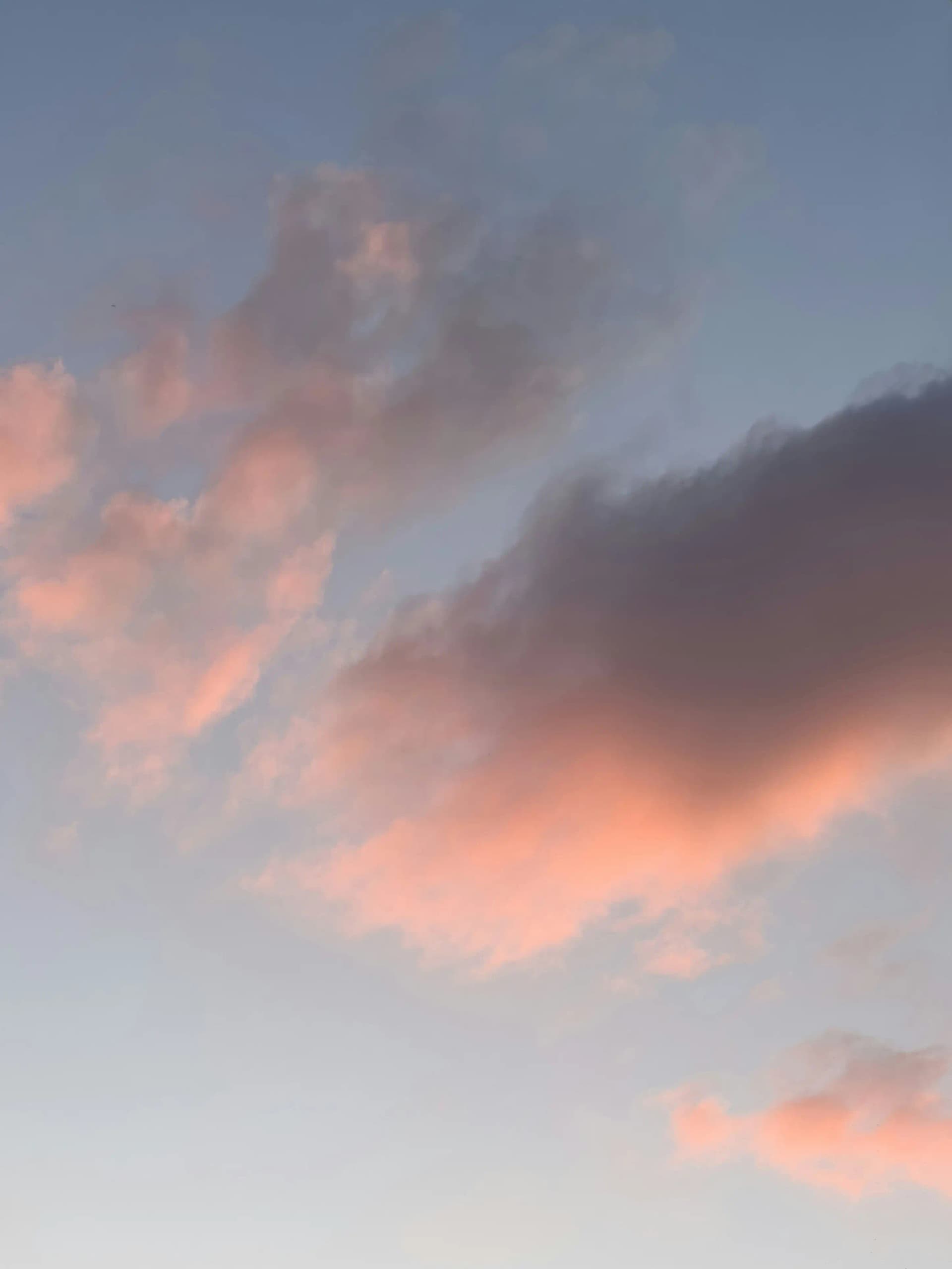 Pink sky